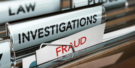 WANdisco suspends shares pending fraud investigation • The Register | Forensic & Accounting Review | Scoop.it