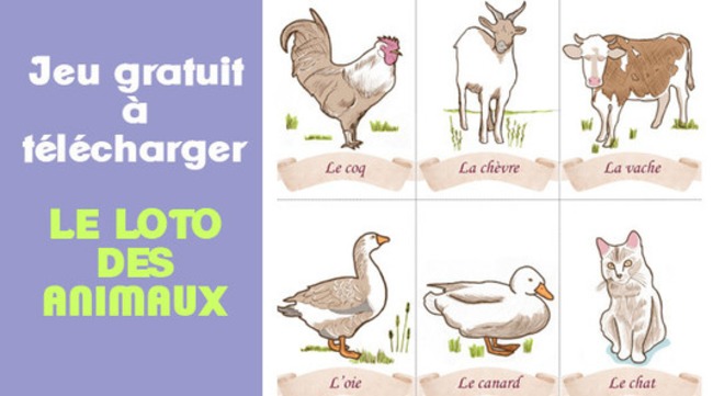Le loto des animaux Hop'Toys | POURQUOI PAS... EN FRANÇAIS ? | Scoop.it