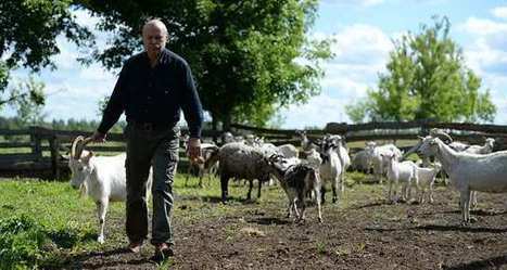 Avec l’embargo, la revanche de l’agriculture russe | Lait de Normandie... et d'ailleurs | Scoop.it