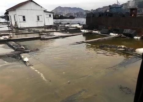 52 sickened by chemical spill in southeast China's Fujian / 09.11.2018 | Pollution accidentelle des eaux (+ d&eacute;chets plastiques) | Scoop.it