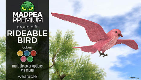 Rideable Bird July 2021 MadPea Premium Group Gift by MadPea Productions | Teleport Hub - Second Life Freebies | Second Life Freebies | Scoop.it