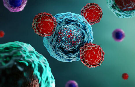 The Evolving Landscape of Cell Therapies Beyond CAR-T | Healthcare: reloaded... | Scoop.it