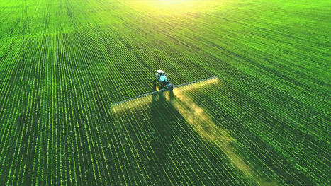 Résidus de pesticides dans les aliments : publication des chiffres les plus récents | EFSA | Microbiologie, Hygiène et Sécurité des aliments | Scoop.it