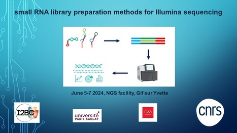 New: NGS small RNA library preparation training | I2BC Paris-Saclay | Scoop.it