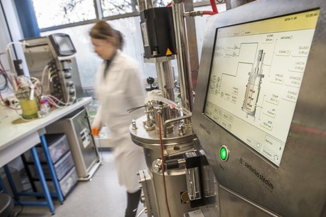 FOCUS PLATEFORME : Une nouvelle plateforme de bioproduction en fermenteurs est à votre disposition à Genopole (Evry-Courcouronnes) avec un support d’experts en fermentation ! | Life Sciences Université Paris-Saclay | Scoop.it