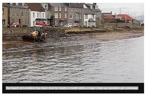 Polluted Fife beaches to reopen after clear-up / 21.03.2019 | Pollution accidentelle des eaux (+ d&eacute;chets plastiques) | Scoop.it