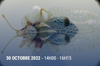 Pariscience 2022, festival international du film scientifique, c'est aussi en ligne ! | Variétés entomologiques | Scoop.it