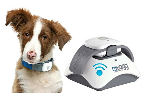 Wag the Dog? Tail Monitor Tracks Canine Emotion | Technology in Business Today | Scoop.it