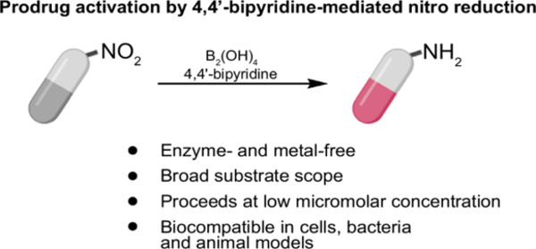 Prodrug activation by 4,4&rsquo;-bipyridine-mediated aromatic nitro reduction&nbsp; | Innovating to what's next... | Scoop.it