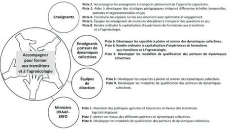 Former les futurs agriculteurs aux transitions : un défi pour l’enseignement agricole - Veille CEP | Pour innover en agriculture | Scoop.it