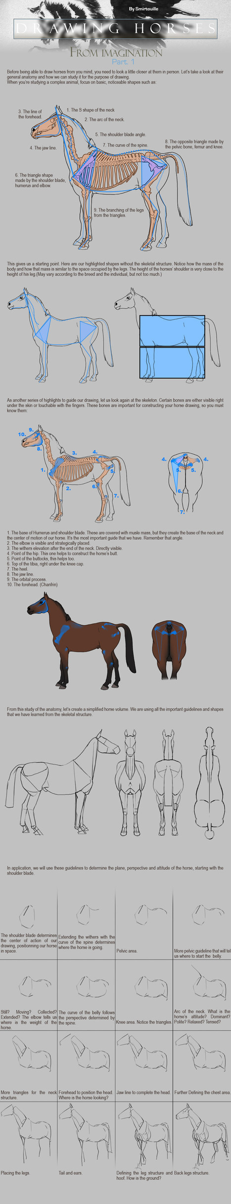 Drawing Horses Tutorial - Part 1 | Drawing and Painting Tutorials | Scoop.it