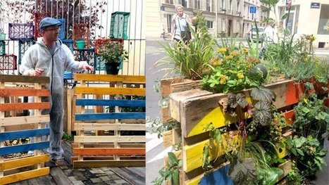 COP21 : v&eacute;g&eacute;taliser sa ville en cr&eacute;ant des routes pour les insectes | Nature en ville | Scoop.it