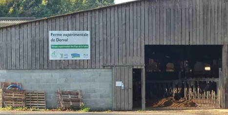 Champs électromagnétiques et élevages : étude menée à la ferme expérimentale de Derval | Lait de Normandie... et d'ailleurs | Scoop.it