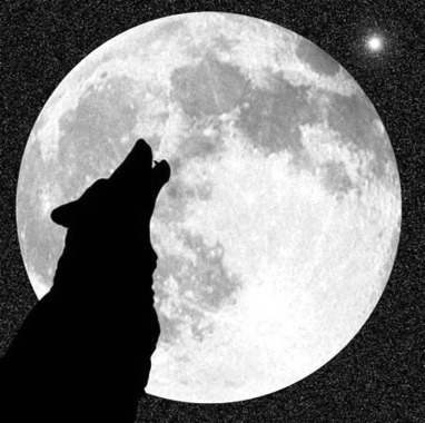 El &uacute;ltimo d&iacute;a de poes&iacute;a en La Luna, Alfonso Fajardo | Autores de Centroam&eacute;rica | Magac&iacute;n | Scoop.it