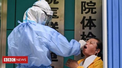 Coronavirus: Can China test all of Wuhan in only 10 days? | Corona Virus news | Scoop.it