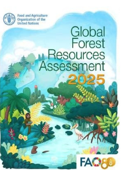 Place des for&ecirc;ts hexagonales et ultra-marines dans les dynamiques mondiales : webinaire le 23 mars 2026 | &Eacute;cosyst&egrave;mes Tropicaux | Scoop.it