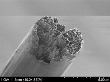 Este biomaterial ya es el más fuerte del mundo, por encima del acero | tecno4 | Scoop.it