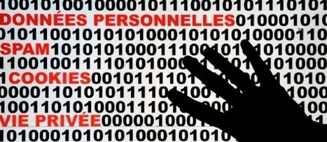 Internet et protection des droits : les propositions du Conseil d'État | Le Point | Documentation juridique | Scoop.it