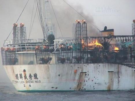 Y2uWAasT474GO7S19gp9Zjl72eJkfbmt4t8yenImKBVvK0kTmF0xjctABnaLJIm9