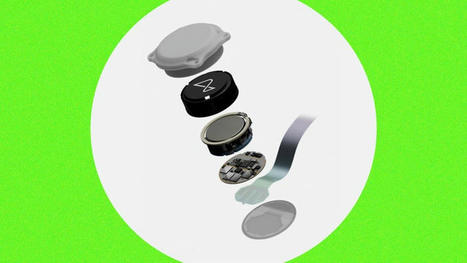 The Next Frontier for Brain Implants Is Artificial Vision | IT in Health and hospitals | Scoop.it