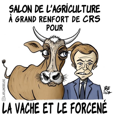 La vache et le forcen&eacute; | Campagnes en France | Scoop.it