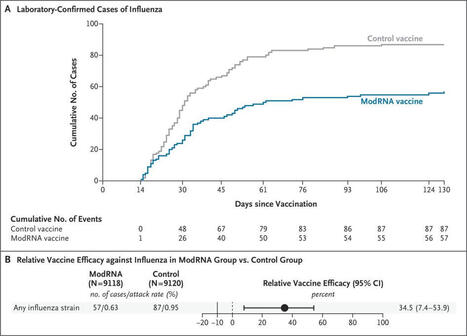 Efficacy, Immunogenicity, and Safety of Modified mRNA Influenza Vaccine |… | Stéphane Paul | Immunology and Biotherapies | Scoop.it
