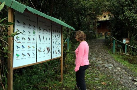 Ecuadorian Nature Reserves Provide Dazzling Bird Displays - Gringo Tree | Galapagos | Scoop.it