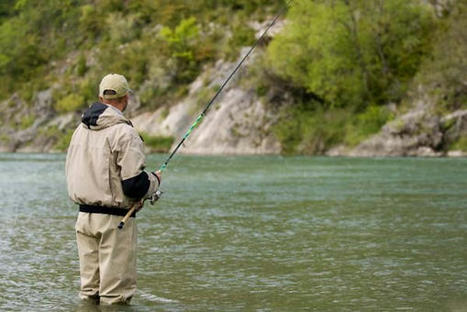 Le droit de pêche en eau douce (4) : les poissons migrateurs | Veille juridique du CDG13 | Scoop.it