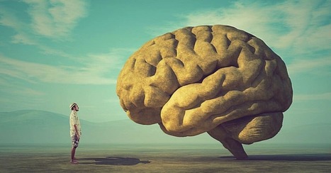 VIDÉO. Quand les biais cognitifs influencent nos opinions et nos choix | Économie comportementale | Scoop.it