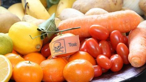 Cohorte Nutrinet santé : Les nouvelles recherches portent sur la relation entre pesticides et cancer | Les Colocs du jardin | Scoop.it