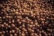 Vegetable fats tied to less prostate cancer spread | Longevity science | Scoop.it