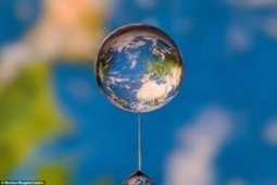 Increíble fotografía captura al mundo en una gota de agua | Pijamasurf | Information Technology & Social Media News | Scoop.it