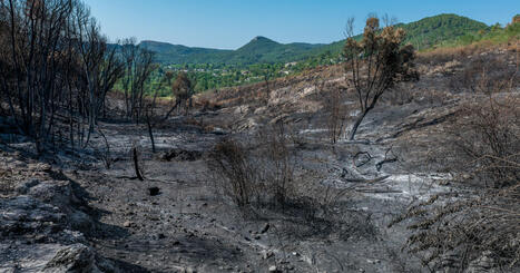 Des infrastructures françaises très exposées aux risques d'incendies de forêt | Alimentation Santé Environnement | Scoop.it