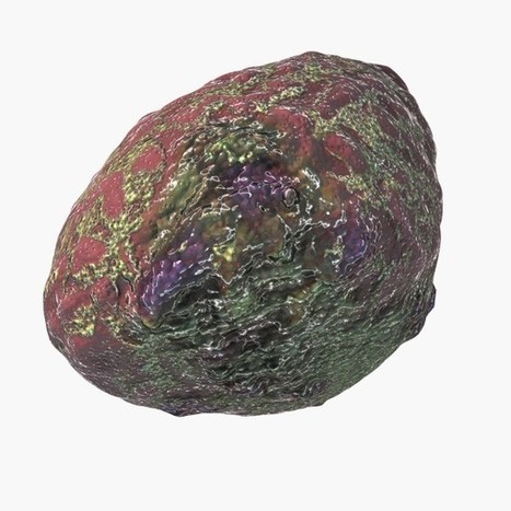 3d granulosis virus model | Virology News | Scoop.it