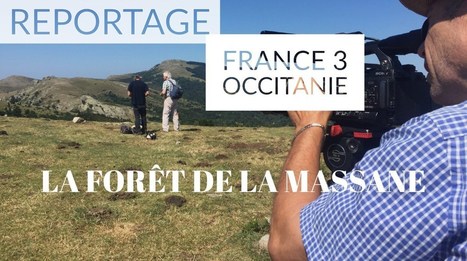 » [TV] La Massane sur France 3 Occitanie 2/5 | Biodiversité | Scoop.it