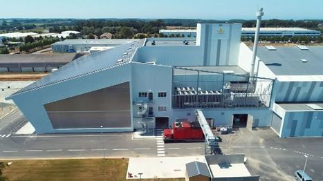 Près de Fécamp, l'entreprise Olvea inaugure une usine de raffinage d'huile éco-responsable | Huiles végétales | Scoop.it
