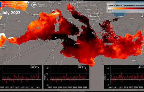 Méditerranée : Les canicules marines, la face « cachée » du changement climatique | Regards croisés sur la transition écologique | Scoop.it