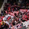 7 - Fan Experience