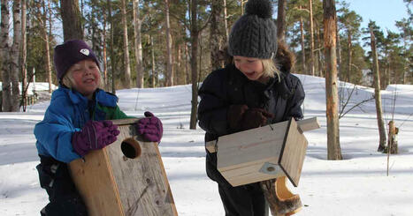 P&ouml;nt&ouml;n&shy;tekij&ouml;iden linnun&shy;p&ouml;ntt&ouml;tarinat &ndash; &auml;idin muisto mukana kev&auml;iss&auml; | Yle Luonto | Yle | 1Uutiset - Lukemisen t&auml;hden | Scoop.it
