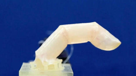 Scientists put living skin on robot that can heal itself when cut | Amazing Science | Scoop.it