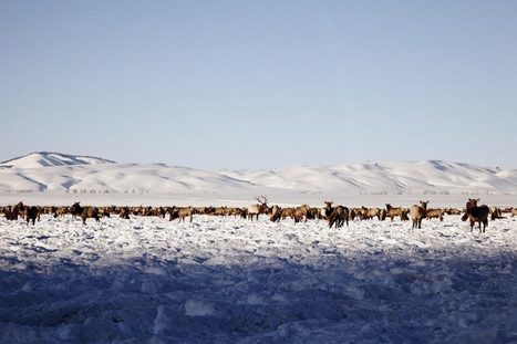 Ski Resorts Struggling With Climate Change Take Double Hit With Coronavirus – | Enjeux du Tourisme de Montagne | Scoop.it