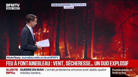 Fontainebleau: vent, s&eacute;cheresse, fortes temp&eacute;ratures... Ce cocktail explosif qui va compliquer la t&acirc;che aux pompiers qui luttent contre le feu | Biodiversit&eacute; - @ZEHUB on Twitter | Scoop.it