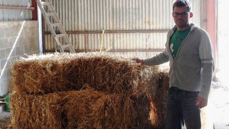 Agromat&eacute;riaux dans le b&acirc;timent Et si vous offriez &agrave; votre paille une plus longue destin&eacute;e&nbsp;? | Mat&eacute;riaux recycl&eacute;s, g&eacute;o et bio-sourc&eacute;s en r&eacute;gions m&eacute;diterran&eacute;enne et alpine | Scoop.it