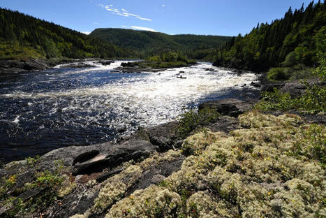 Rivi&egrave;re Magpie et Pipmuakan | Reconna&icirc;tre le leadership autochtone pour la&nbsp;protection du&nbsp;territoire | Ils parlent de la rivi&egrave;re Muteshekau - Magpie | Scoop.it