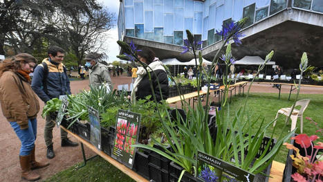 Lille: au Jardin des Plantes, ce samedi, le vert est dans la ville | Nature en ville | Scoop.it