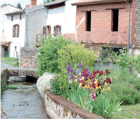Comment accueillir plus de nature dans les petites villes et villages en Auvergne-Rh&ocirc;ne-Alpes ? Cahier de recommandations - Urbalyon | ZAN - Z&eacute;ro artificialisation nette | Scoop.it