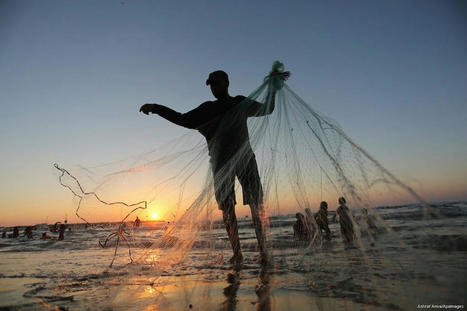 MEDITERRANEAN marine heat waves threaten COASTAL livelihoods | CIHEAM Press Review | Scoop.it