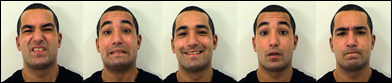 Introduction - Amsterdam Dynamic Facial Expression Set (ADFES) - University of Amsterdam | Empathy Movement Magazine | Scoop.it