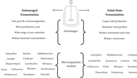 Microbial Fermentation: A Sustainable Strategy for Producing High-Value Bioactive Compounds for Agriculture, Animal Feed, and Human Health | mdpi | RMH | Scoop.it
