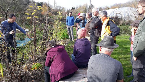 Agro&eacute;cologie, permaculture, agroforesterie... explications sur ces pratiques | Questions de d&eacute;veloppement ... | Scoop.it
